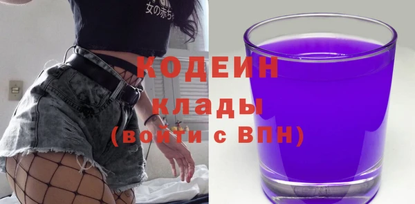 шишки Верея